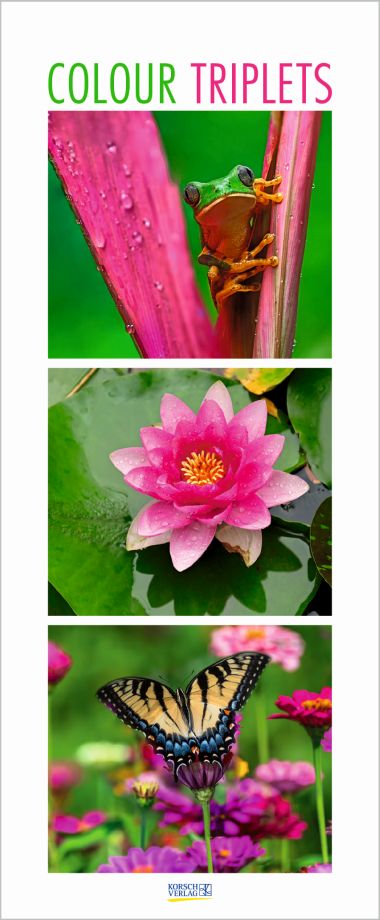 Colour Triplets