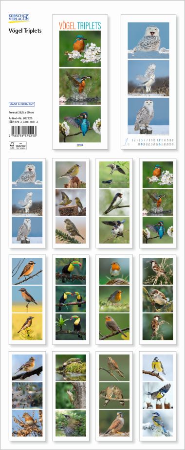  - Kalender - PhotoArtkalender - Vögel Triplets