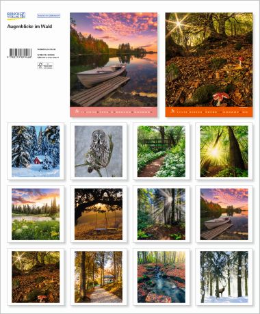  - Kalender - PhotoArtkalender - Augenblicke im Wald