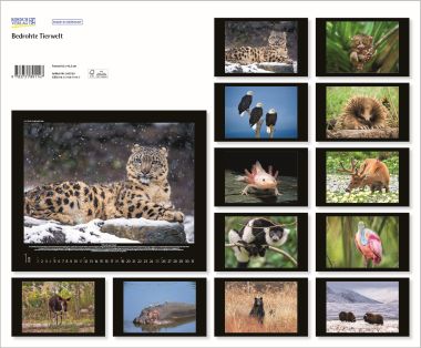  - Kalender - Kunstkalender - Bedrohte Tierwelt