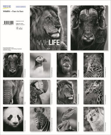  - Kalender - PhotoArtkalender - Wildlife - Face to face