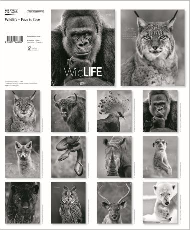  - Kalender - PhotoArtkalender - Wildlife - Face to face