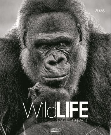 Wildlife - Face to face