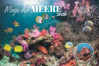 Magie der Meere