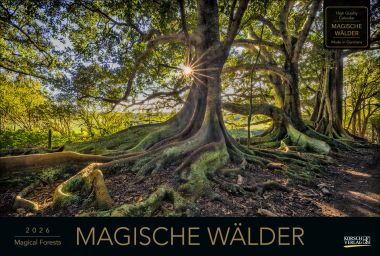 Magische Wälder