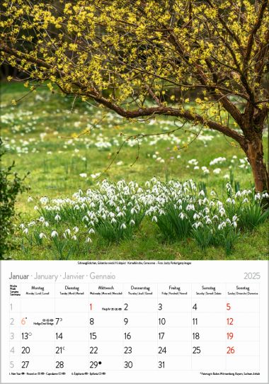  - Kalender - Natur / Hobby / Landschaften - Blütenzauber