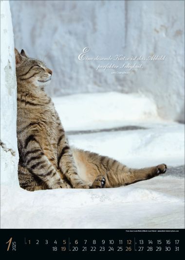  - Kalender - Tierkalender - Katzenpoesie