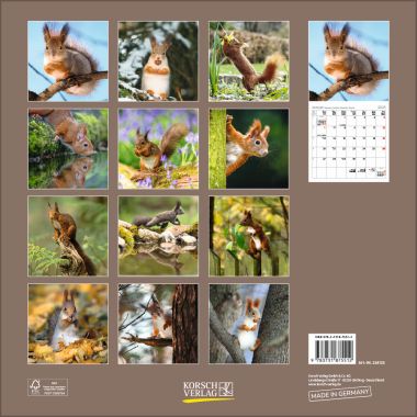  - Kalender - Broschürenkalender - Eichhörnchen (BK)