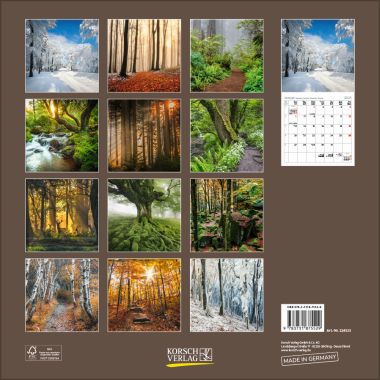  - Kalender - Broschürenkalender - Magische Wälder (BK)