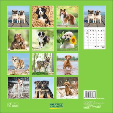  - Kalender - Broschürenkalender - Dogs (BK)