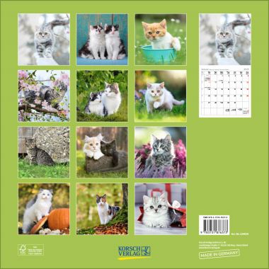  - Kalender - Broschürenkalender - Cats (BK)