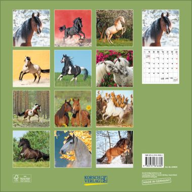  - Kalender - Broschürenkalender - Horses (BK)