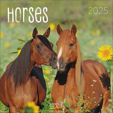 Horses (BK)