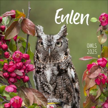 Eulen (BK)