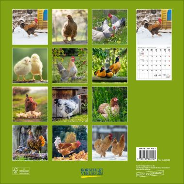  - Kalender - Broschürenkalender - Hühner (BK)
