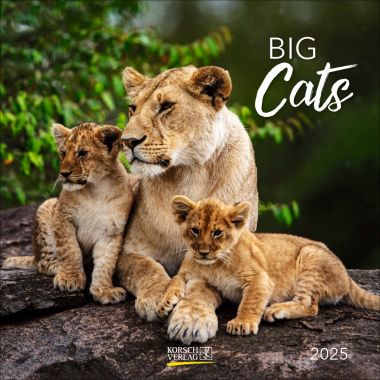 Big Cats (BK)