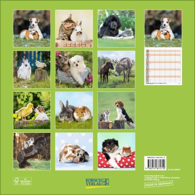  - Kalender - Broschürenkalender - Tierfreundschaften - Familientimer (BK)