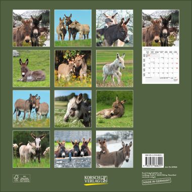  - Kalender - Broschürenkalender - Esel (BK)