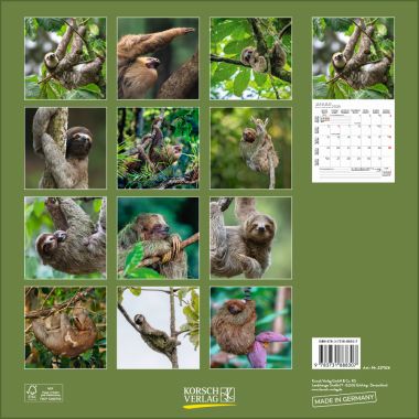  - Kalender - Broschürenkalender - Faultiere (BK)