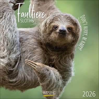 Faultiere (BK)