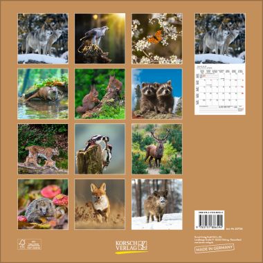  - Kalender - Broschürenkalender - Tiere des Waldes (BK)