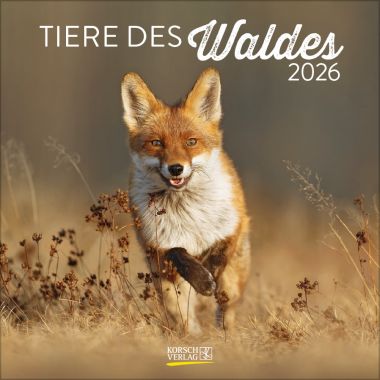 Tiere des Waldes (BK)