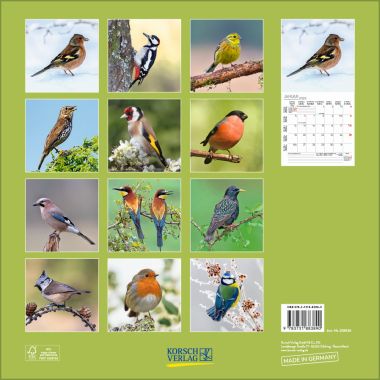  - Kalender - Broschürenkalender - Vögel (BK)