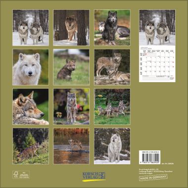  - Kalender - Broschürenkalender - Wölfe (BK)