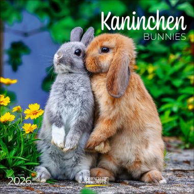 Kaninchen (BK)