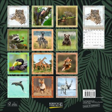  - Kalender - Broschürenkalender - Achtung wild - Tiere aus aller Welt (BK)