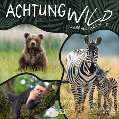 Achtung wild - Tiere aus aller Welt (BK)