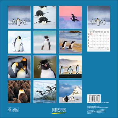  - Kalender - Broschürenkalender - Pinguine (BK)