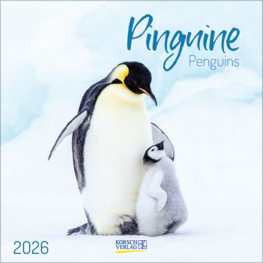 Pinguine (BK)