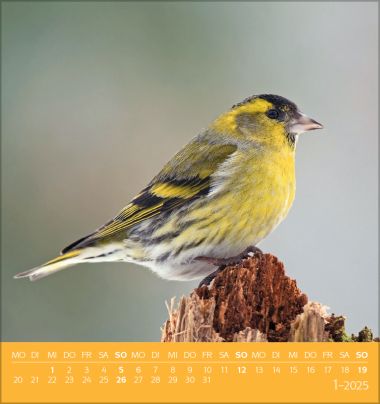  - Kalender - Postkartenkalender - Vögel unserer Heimat