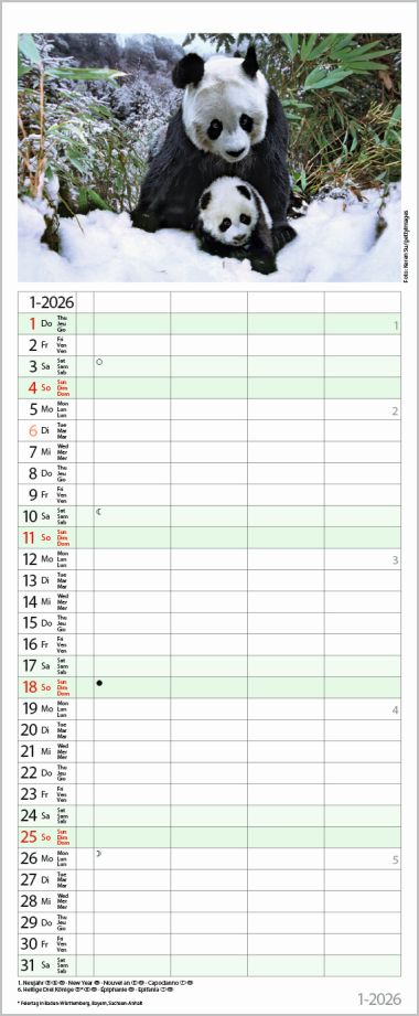  - Kalender - Familienkalender - Tierfamilien