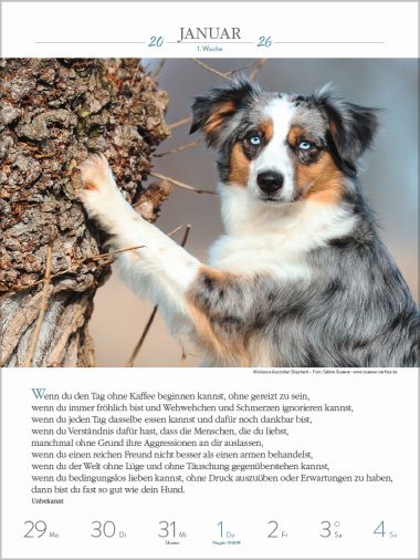  - Kalender - Wochenkalender - Hunde