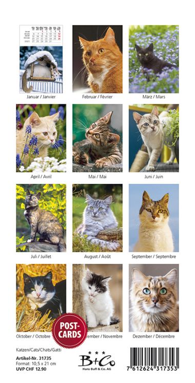  - Kalender - Tierkalender - PKK Katzen/Cats/Chats/Gatti