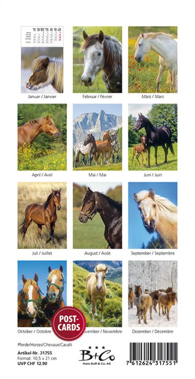 - Kalender - Tierkalender - PKK Pferde/Horses/Chevaux/Cavalli