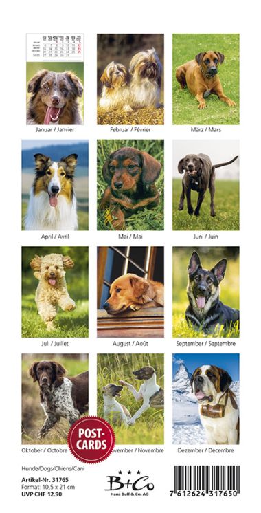  - Kalender - Tierkalender - PKK Hunde/Dogs/Chiens/Cani