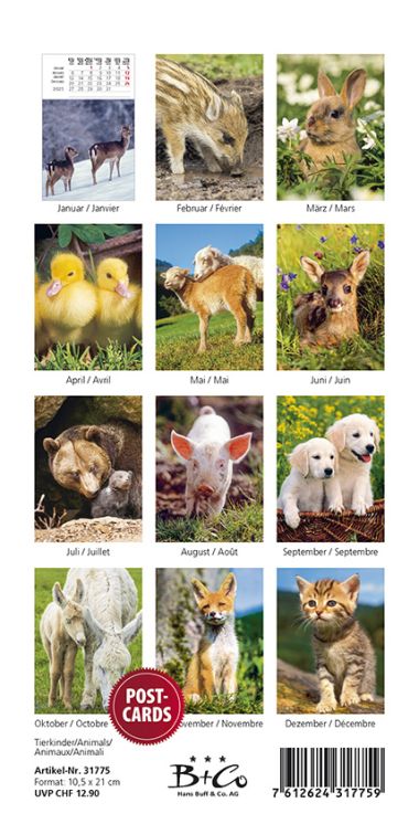 - Kalender - Tierkalender - PKK Tierkinder/Animals/Animaux/Animali