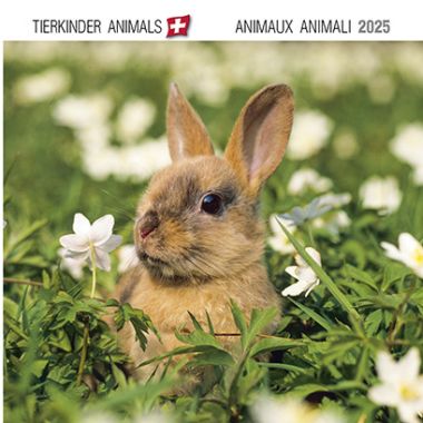  - Kalender - Tierkalender - Minikalender Tierkinder