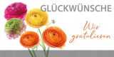 IND.ALLG.GLÜCKWUNSCHKARTE