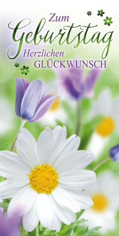  - Allgemeine Kollektion-Hauptdevisen - Geburtstag DIN Lang - wfa Geburtstag DIN Lang
