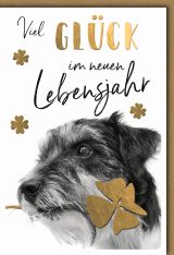 wfa Geburtstag