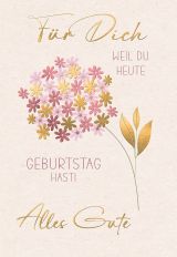 Geburtstag Jumbo