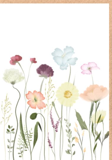  - Allgemeine Kollektion-Randdevisen - Midi - Blanco Midi