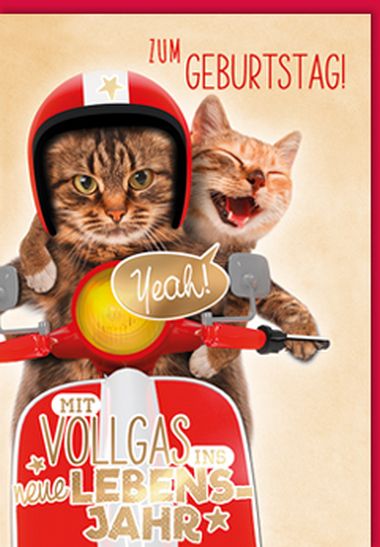  - Allgemeine Kollektion-Randdevisen - Midi - Geburtstag - Midi