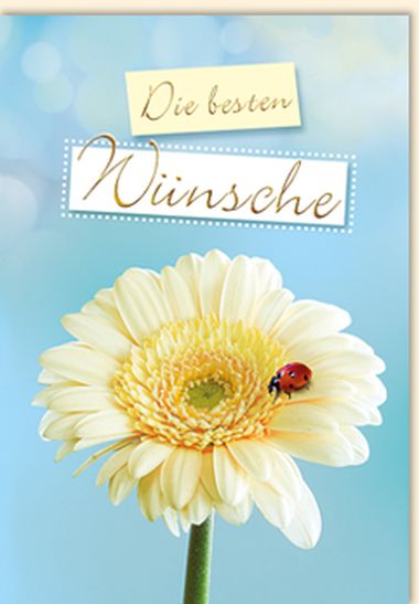  - Allgemeine Kollektion-Randdevisen - Midi - Allg. Glückwünsche - Midi