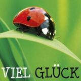 Quadro Allg. Glückwünsche