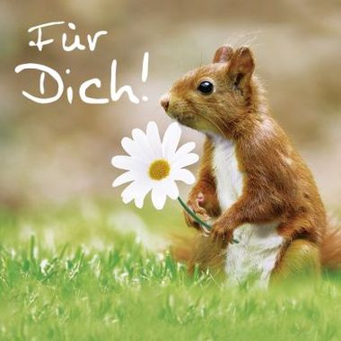  - Allgemeine Kollektion-Randdevisen - Quadro - Quadro Allg. Glückwünsche
